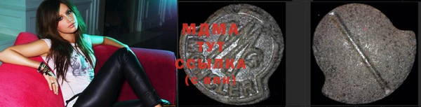 прущие грибы Снежинск