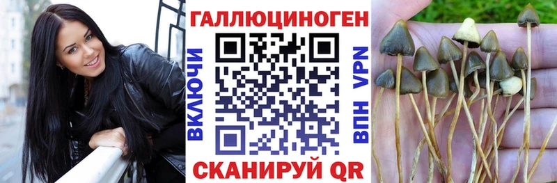 Псилоцибиновые грибы MAGIC MUSHROOMS  купить закладку  Новая Ляля 